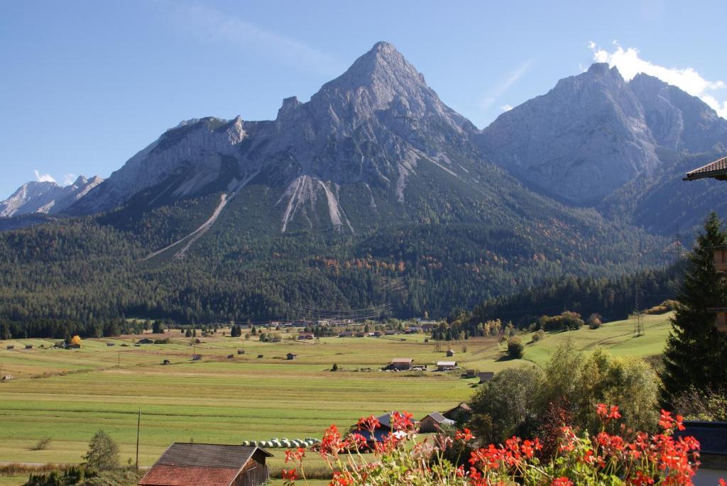 Апартаменти Alpin-Sportiv Лермос Номер фото